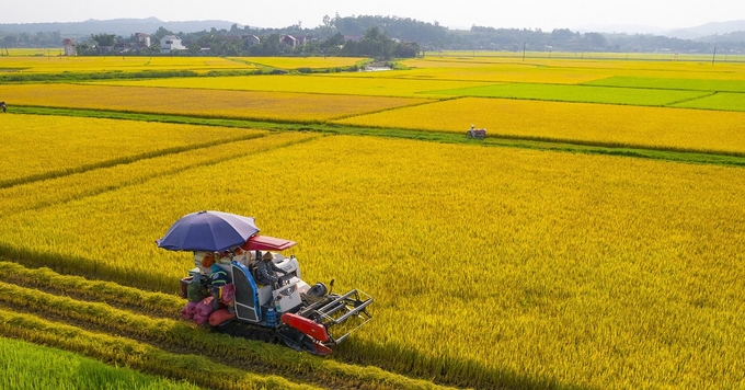 GHG emission reduction needs to be implemented at a community level rather than by individuals. Photo: Pham Huy.