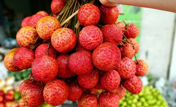 Lychees at a fruit shop on Le Duc Tho Street (Go Vap District) in May 2024. Photo: Thi Ha.