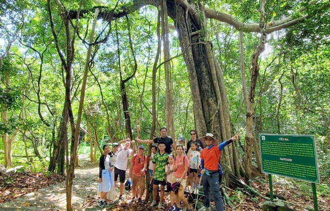 Tourists participating in ecotourism at a reserve. Photo: Tran Phi.