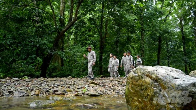 Connectivity in transportation stands as a significant barrier that limits the number of returning visitors to Xuan Son National Park (Phu Tho). Photo: Quang Dung.