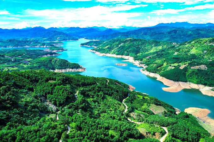 Quang Nam province currently has more than 460,000 hectares of natural forest. Photo: L.K.