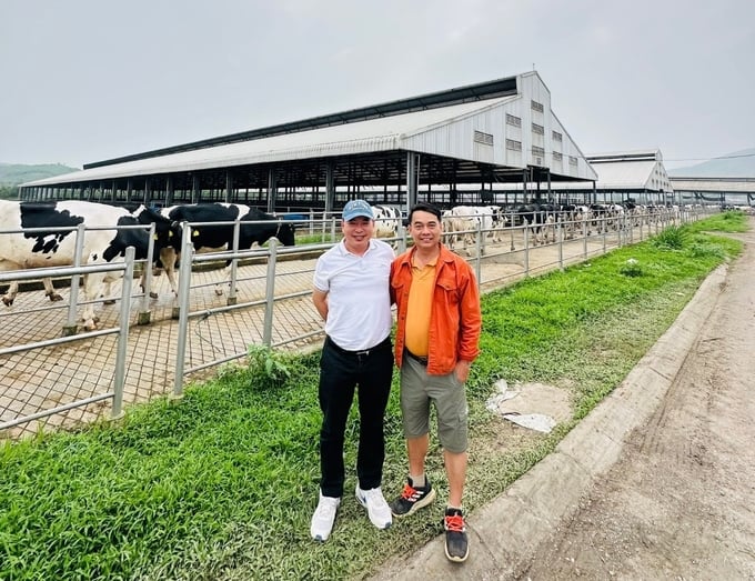 Instructions for caring for dairy cows at the experimental farm, Ho Chi Minh City Animal and Plant Breeding Center. Photo: Hai Nam.