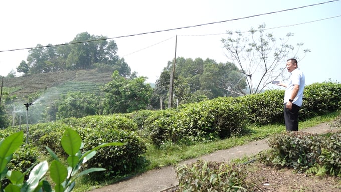 Khe Coc Safe Tea Cooperative, located in Tuc Tranh commune, Phu Luong district, Thai Nguyen province, is implementing digital technology in crop production, automatic irrigation, and real-time data updates to mobile phones. Photo: Quang Linh.