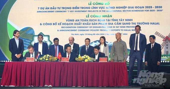 DHN high-tech livestock area project worth 100 million USD officially started construction in Tay Ninh. Photo: Tran Trung.