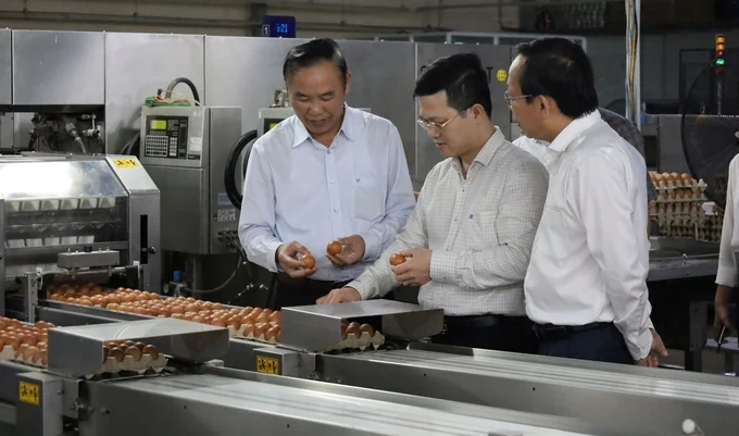 Deputy Minister of Agriculture and Rural Development Phung Duc Tien visited enterprises operating in the livestock sector in Tay Ninh province. Photo: M.D.