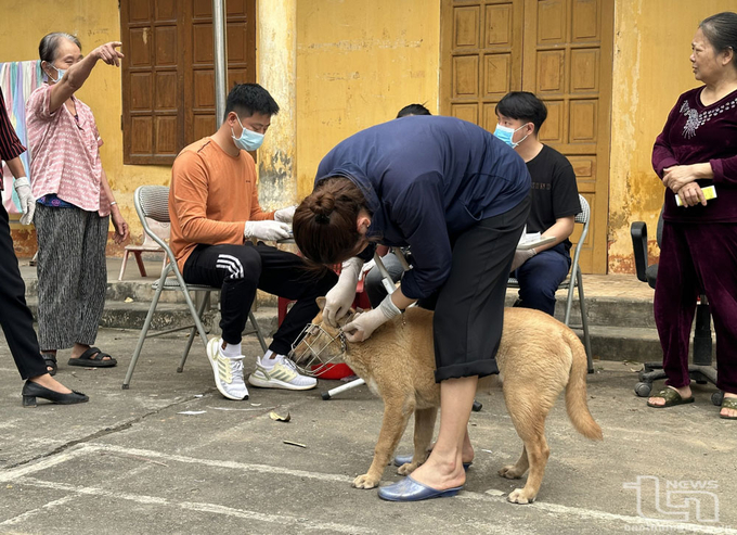 Người dân Thái Nguyên tiêm vacxin phòng bệnh dại cho vật nuôi. Ảnh: Báo Thái Nguyên.