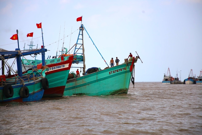 Tỉnh Sóc Trăng có 801 tàu cá đã đăng ký, trong đó số lượng tàu được cấp giấy chứng nhận an toàn kỹ thuật và cập nhật lên hệ thống cơ sở dữ liệu quốc gia VnFishbase là 324 tàu. Ảnh: Kim Anh.