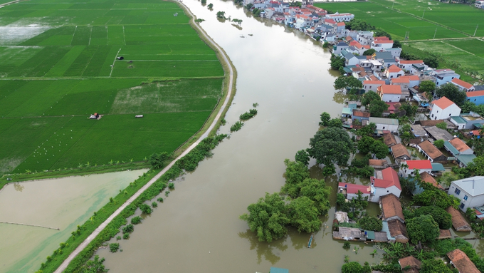 Lũ sông ở Hà Nội vẫn ở mức cao. Ảnh: Hùng Khang. 