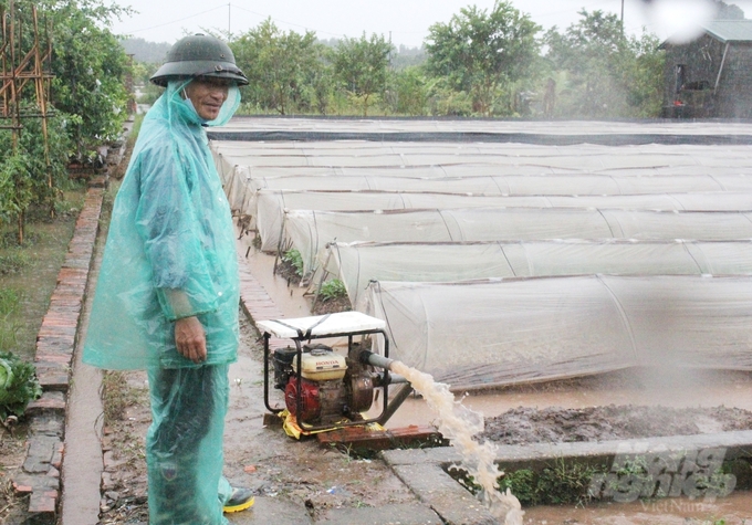 Cục Trồng trọt đề nghị sở NN-PTNT các tỉnh, thành phố phía Bắc khẩn trương tập trung chỉ đạo, hướng dẫn nông dân khắc phục hậu quả mưa bão. Ảnh: Trung Quân.