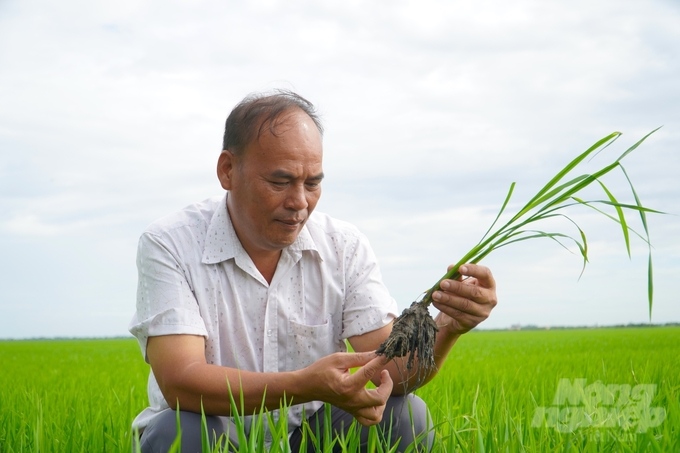 Kết quả giảm phát thải chủ yếu nhờ vào việc giảm sử dụng phân đạm, giảm đốt rơm và áp dụng kỹ thuật tưới ngập khô xen kẽ. Ảnh: Kim Anh.