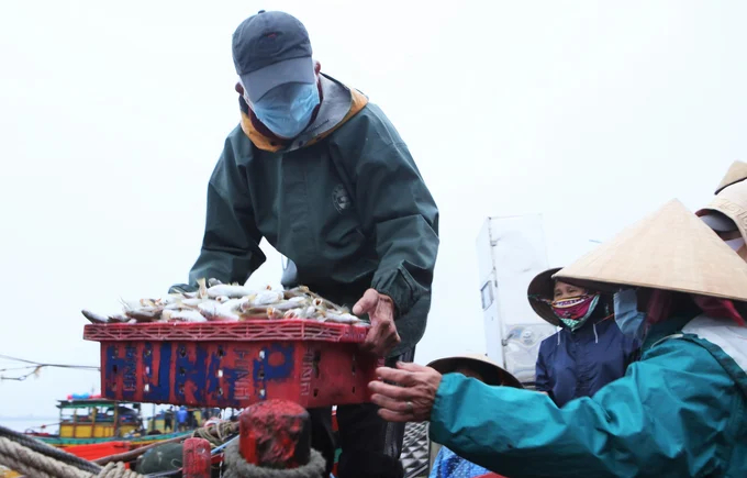 Most of Ha Tinh's fishing boats are small, under 15m, operating in coastal areas, resulting in a very low output of monitored and supervised aquatic products. Photo: Thanh Nga.