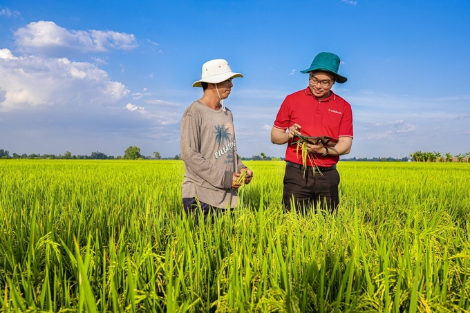 Agribank thực hiện tư vấn, hỗ trợ và cung cấp các sản phẩm dịch vụ ngân hàng như dịch vụ tiền gửi, dịch vụ tiền vay, dịch vụ tài chính... phù hợp với mục tiêu Đề án 1 triệu ha lúa cho các đối tượng tham gia.