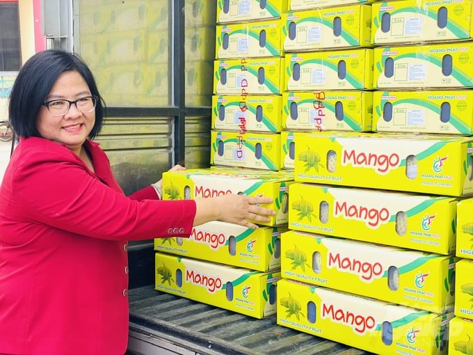 Currently, mangoes have met the strict requirements of partners, such as pesticide content, harmful disease control, traceability, irradiation, etc. Photo: Le Hoang Vu.