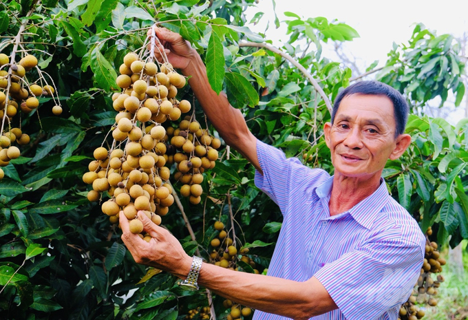 Ngành nông nghiệp Cần Thơ luôn đẩy mạnh giới thiệu, quảng bá thông tin, hình ảnh các sản phẩm nông nghiệp của Cần Thơ trên toàn quốc và hướng đến thị trường quốc tế qua nhiều kênh truyền thông. Ảnh: Lê Hoàng Vũ.