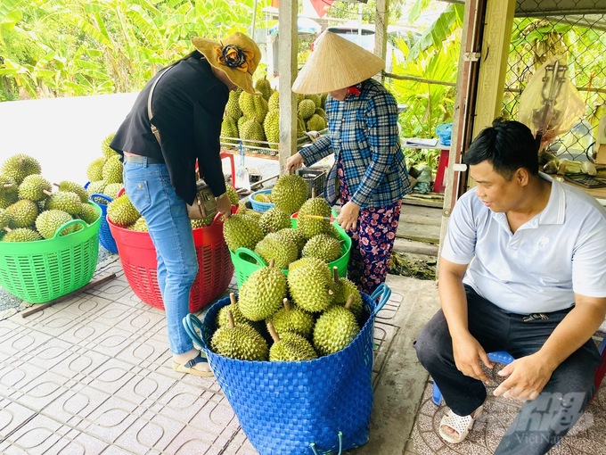 Nông sản của nông dân thường gặp khó khăn ở khâu vận chuyển mang đi tiêu thụ. Ảnh: Lê Hoàng Vũ.