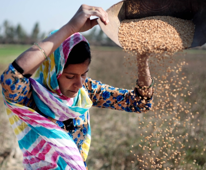 If current trends continue, about 582 million people will be chronically undernourished in 2030, half of them in Africa.