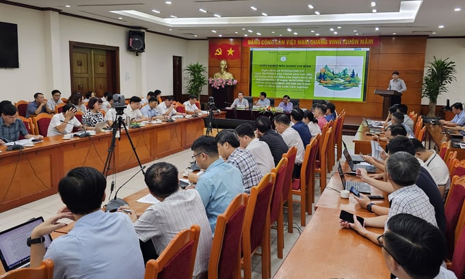 The conference was livestreamed nationwide. Photo: Bao Thang. 