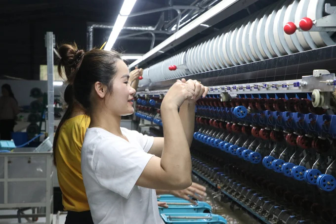 Yen Bai Mulberry Joint Stock Company has currently created jobs for more than 180 local workers. Photo: Thanh Tien.