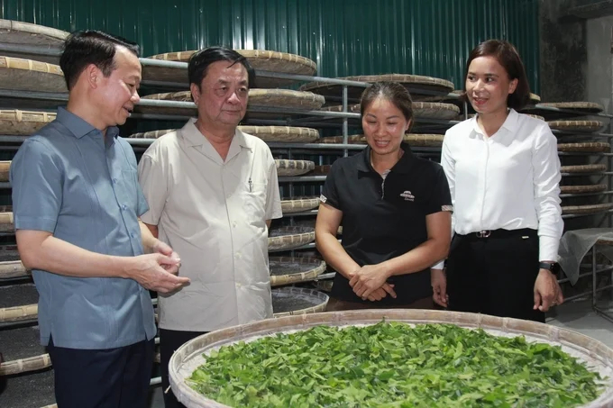 Minister of Agriculture and Rural Development Le Minh Hoan (second from left) visited the model of applying science and technology to raising silkworms of farmers in Tran Yen district (Yen Bai). Photo: Thanh Tien.