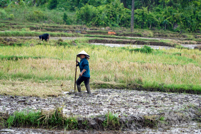 Nhưng giải ngân chậm nguồn vốn cũng là nguyên nhân khiến Chương trình Xây dựng Nông thôn mới tại Quảng Trị gặp nhiều khó khăn. Ảnh: Võ Dũng.