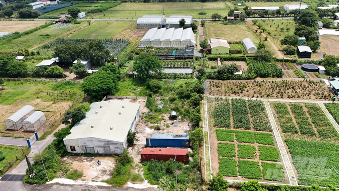 Vườn thực phẩm cộng đồng - mô hình sinh thái giúp lan tỏa giá trị, để thay đổi nhận thức về thực phẩm xanh của cộng đồng. Ảnh: Lê Bình.