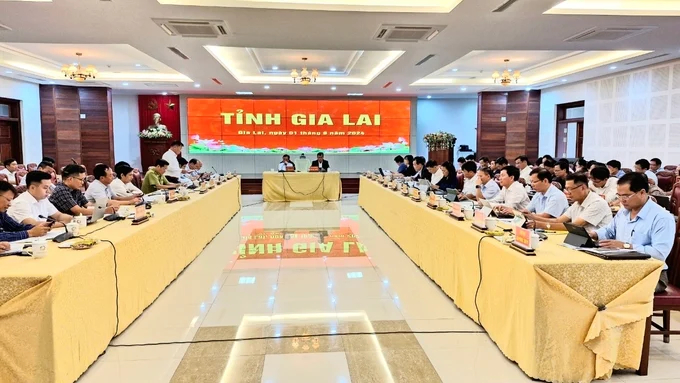 The Ministry of Agriculture and Rural Development worked with Gia Lai Provincial People's Committee. Photo: Tuan Anh.