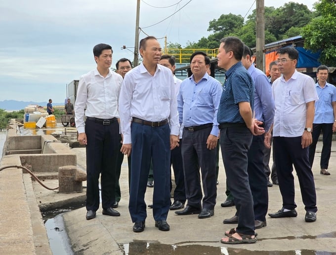 Deputy Minister Phung Duc Tien (second from left) inspected the situation regarding illegal, unreported, and unregulated (IUU) fishing at Ngoc Hai fishing port, Do Son District. Photo: Dinh Muoi.