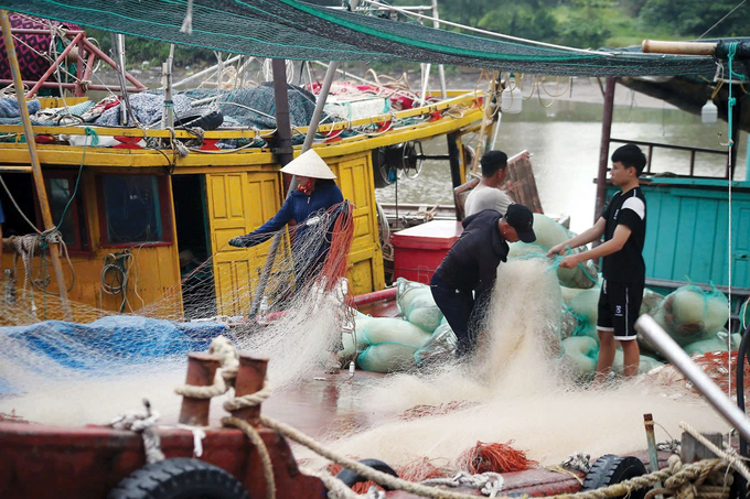 Ngư dân bám biển Tiền Hải, Thái Bình. Ảnh: Ngọc Sơn.