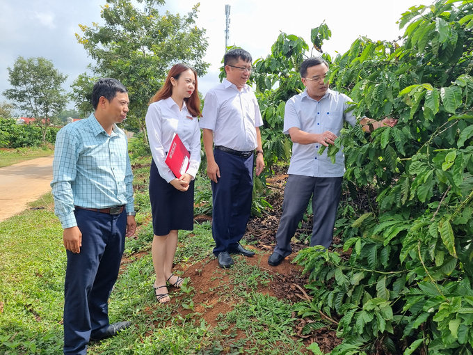 Agribank Chi nhánh Gia Lai đồng hành cùng doanh nghiệp cà phê trên địa bàn. Ảnh: Tuấn Anh.