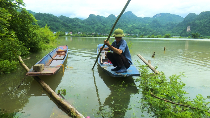 Ông La Văn Hữu ở thôn Bản Chảy, xã Nam Cường (huyện Chợ Đồn) chèo xuồng trên ruộng lúa đã ngập sâu hơn 3m của gia đình. Ảnh: Ngọc Tú. 