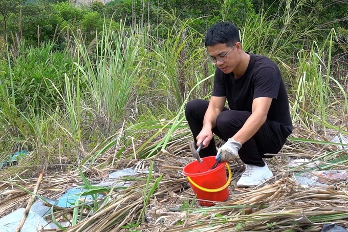 Duy Thanh thu gom mảnh thủy tinh đã bị vứt bỏ để mang về tái chế. Ảnh: Thanh Phương.