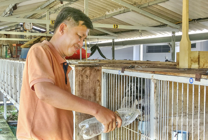 Anh Hùng rất 'mát tay' với loài vật này, số lượng chồn trong trang trại ngày một tăng lên. Ảnh: Trọng Linh.