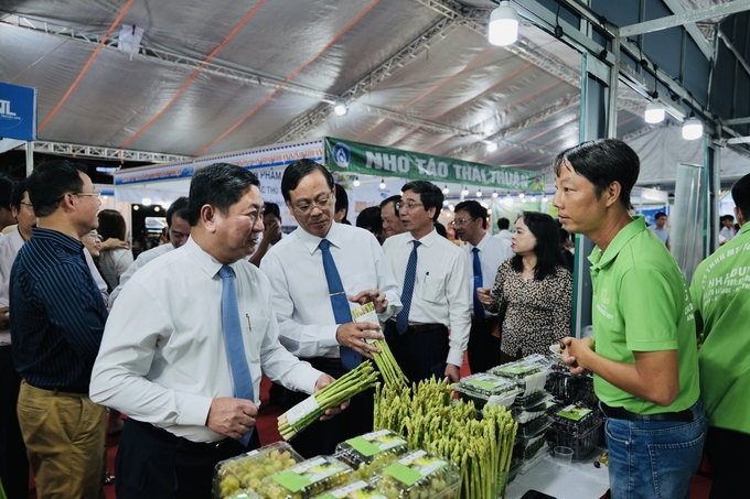 Măng tây xanh là một trong những sản phẩm OCOP, đặc thù của tỉnh Ninh Thuận. Ảnh: TL.