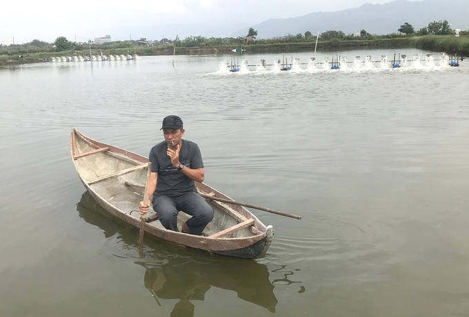 Người nuôi tôm ở Đông Điền, vùng nuôi tôm theo hướng an toàn sinh học xã Phước Thắng (huyên Tuy Phước, Bình Định), thất bại nặng do bệnh EHP. Ảnh: V.Đ.T.