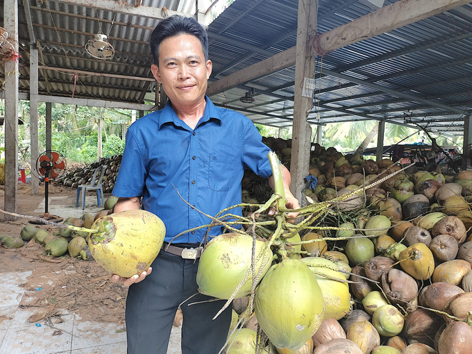 Ông Châu Văn Đỏ, Giám đốc HTX Nông nghiệp Hòa Lợi cho biết, HTX dự định mở rộng lên 120ha trong năm 2024. Ảnh: Minh Đảm.