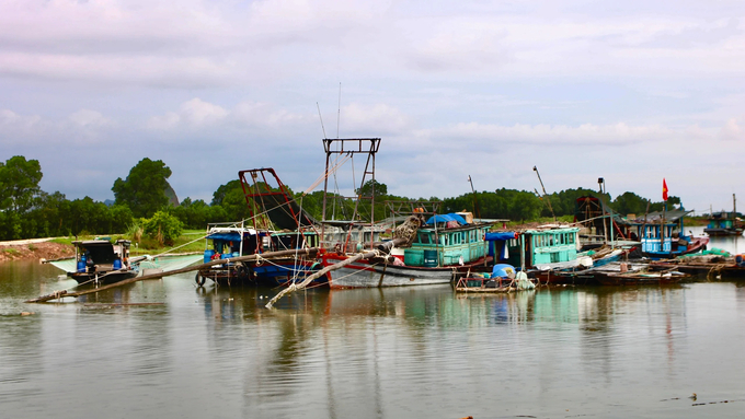 Tàu cá vi phạm khai thác IUU vẫn ngang nhiên hoạt động. Ảnh: Thanh Phương.