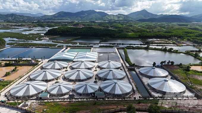 Hệ thống ao nuôi tôm chất lượng cao của HTX Nuôi tôm công nghệ cao Cẩm Phả tại xã Cộng Hòa (TP Cẩm Phả). Ảnh: Vũ Cường.