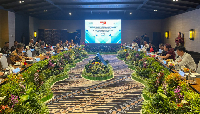 During a working session between Deputy Minister of Agriculture and Rural Development Phung Duc Tien and Indonesian Minister of Maritime Affairs and Fisheries Sakti Wahyu Trenggono in Jakarta, Indonesia. Photo: ICD.