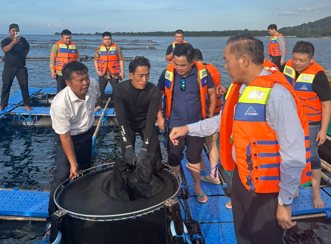 Deputy Minister Phung Duc Tien visited a lobster breeding farm in Indonesia. Photo: ICD.