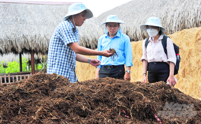 Using agricultural waste and by-products as organic fertilizer helps clean the environment, reduce emissions, create jobs, and increase income for farmers. Photo: Le Hoang Vu.