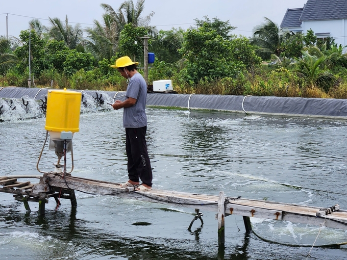 Hơn 10 năm trước, diện tích nuôi tôm siêu thâm canh toàn huyện Phú Tân chỉ hơn 100ha, đến nay mô hình đã phát triển gấp 20 lần. Ảnh: Minh Khương.