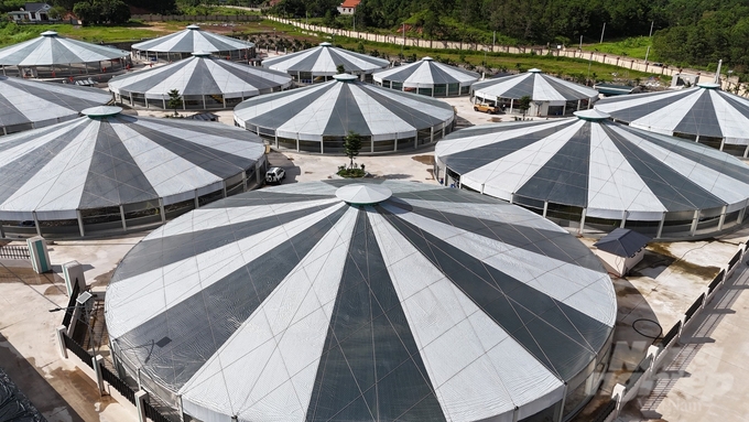 The nethouses allow flexibility, covering the farming area in the winter, or leaving it airy in the summer. Photo: Vu Cuong.