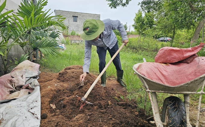 Anh Nguyễn Minh Châu phối trộn xơ dừa và phân chuồng để ủ hoai cho vụ trồng tiếp theo. Ảnh: Tâm Phùng.