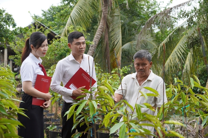 Ông Trần Văn Chính (bìa phải) giới thiệu về các loại sầu riêng giống được chuẩn bị để mở rộng diện tích canh tác. Ảnh: Minh Khương.