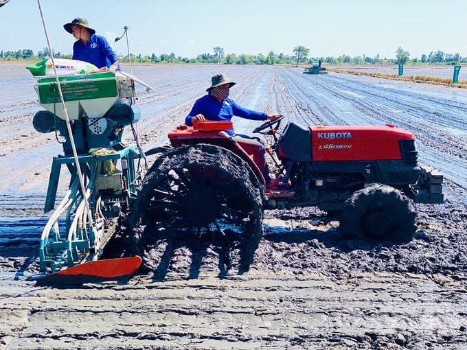 Dong Thap is the third unit in the Mekong Delta to launch the Project for 1 million hectares of high-quality, low-emission rice linked to green growth in the Mekong Delta by 2030. Photo: Le Hoang Vu.