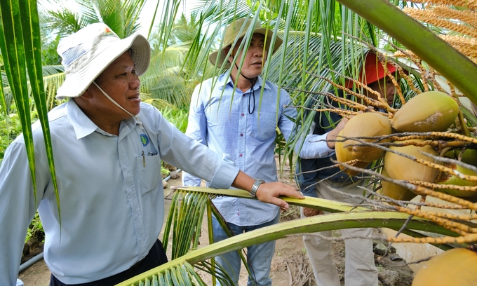 Đồng bằng sông Cửu Long là vùng sản xuất trái cây chủ lực của Việt Nam. Ảnh: Bảo Thắng.