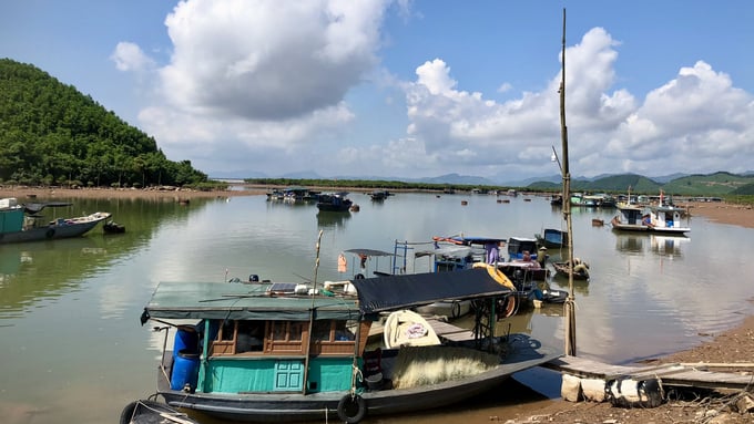 Fishing vessels must be registered according to legal regulations. Photo: Thanh Phuong.