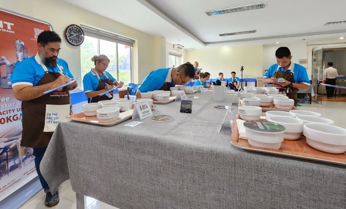 Experts tasting coffee participating in the 2024 Vietnam Amazing Cup competition. Photo: Quang Yen.