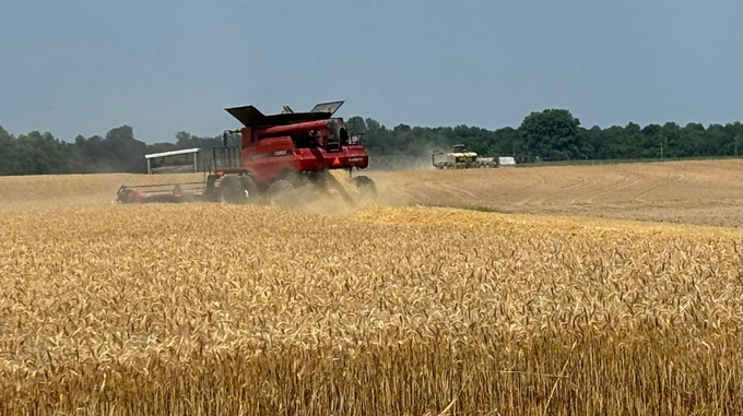 Jennifer H. Schmidt operates a farm spans a couple thousand acres—about 800 hectares—a scale that is impressive by any standard. Photo: courtesy of Ms. Jennifer. 