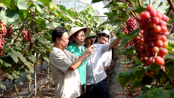 Bộ trưởng Bộ NN - PTNT Lê Minh Hoan và Bí thư Tỉnh ủy Hà Nam Lê Thị Thủy kiểm tra sản phẩm nông nghiệp tiêu biểu được sản xuất bởi nông dân địa phương. Ảnh: Thanh Thủy.